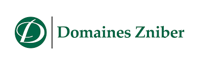 les domaines zniber